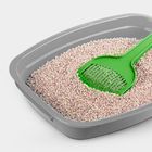 Podstielky pre mačky