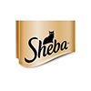 SHEBA