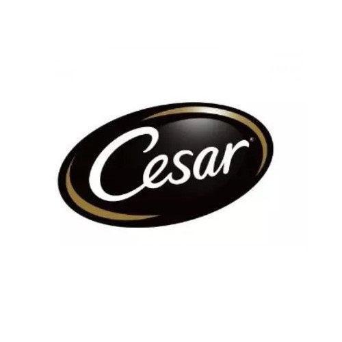 CESAR